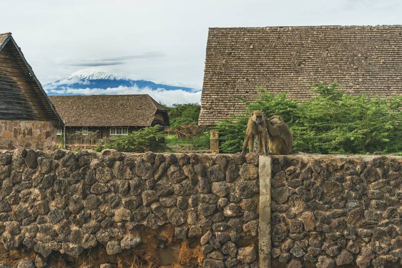 Kilimanjaro above a Tanzanian village